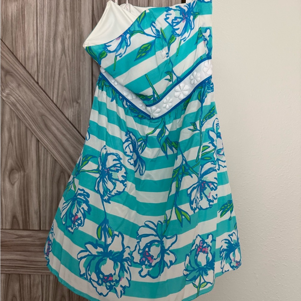 Floral Striped Dress in Blue and White